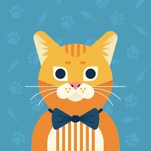 Meet your Posher, Madison b